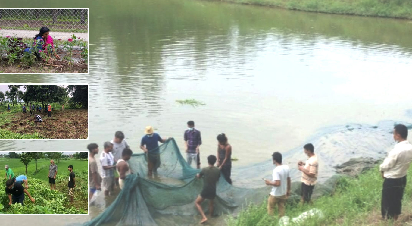 चितवनको केशरवागका युवाको सामूहिक कृषि कर्म, जसले झाडी बनिसकेको जमिन फाँडेर खेती गरे